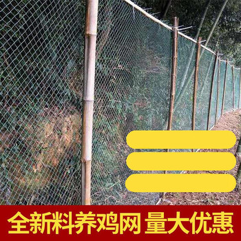养殖养鸡网拦鸡网围栏护栏防护网隔离网菜园网防鸡鸭网12米高50米长