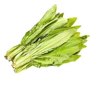 油麦菜一斤500g新鲜蔬菜叶菜类青菜有机肥生态种植无公害五斤 5斤