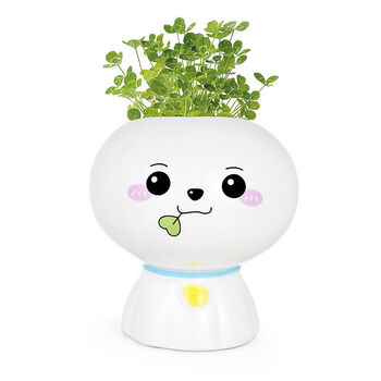 叶子娃娃-幸运草【图片 价格 品牌 报价】-京东