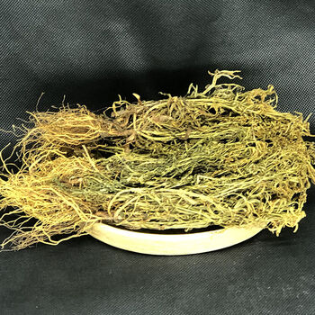 水黄连水灵芝草青鱼胆草水黄莲 水灵芝250g