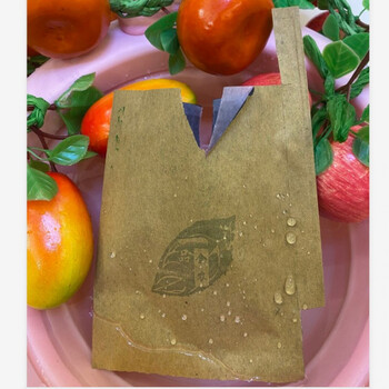 套桃子专用纸袋桃子专用套袋桃袋子油桃毛桃黄桃套袋冬桃蟠桃水果套袋