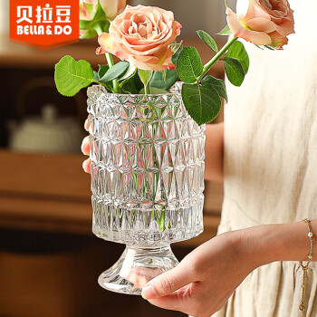 贝拉豆法式玻璃花瓶富贵竹百合水培花器干花仿真花插花摆件CG01
