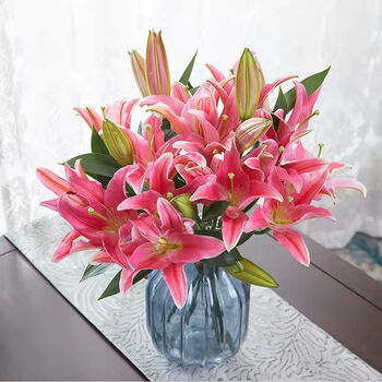 雨花蝶香水百合花束鲜花基地直发水培真花大头百合红色百合20朵保鲜剂