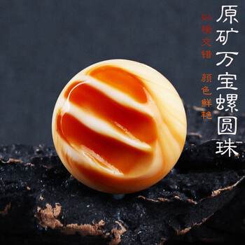 朴春精品万宝螺散珠带血槽贝珠子单颗diy多宝手串佛珠108手链串珠精品