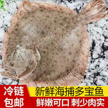 速鮮海捕新鮮多寶魚鮮活冷凍比目魚深海魚火鍋燒烤食材海鮮水產生鮮