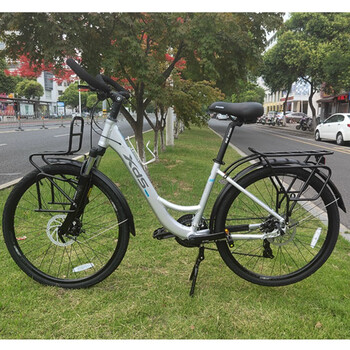 喜德盛(xds) 旅行自行车t300碟刹24速26寸铝合金车架旅行车 闪银/亮灰