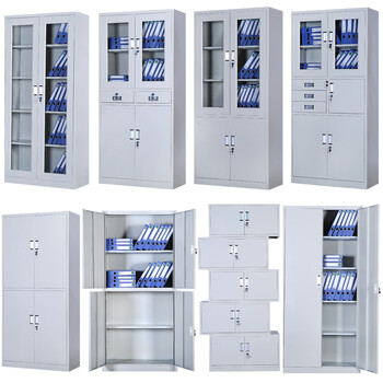 定制定制办公室文件柜铁皮柜资料柜凭证柜矮柜书柜员工五节档案柜储物