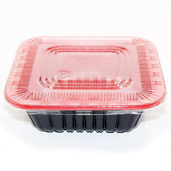 【楚戎餐盒】楚戎 旅行套装 一次性用品套装 四格餐盒 打包盒透明带盖