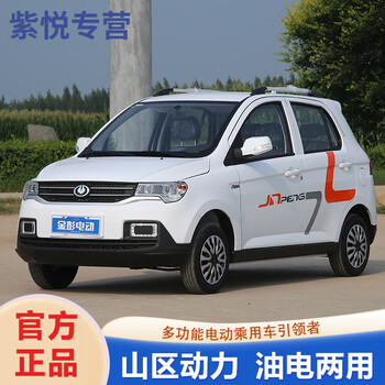 金彭d90新能源电动四轮代步轿车油电两用全封闭成人锂电汽车 锂电版