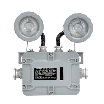 通明电器 TORMIN TM-ZFZD-E6W-BC5200 2×3W 消防应急照明灯具 255×243×110mm