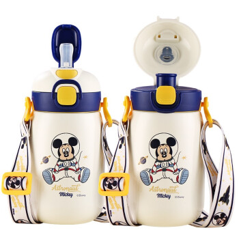 迪士尼（Disney）儿童保温杯带吸管男女小学生316不锈钢直饮水壶双饮喝水杯子420ML