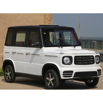 汽车成人四轮车新能源油电两用轿车代步车新款家用电瓶 锂电版纯电动