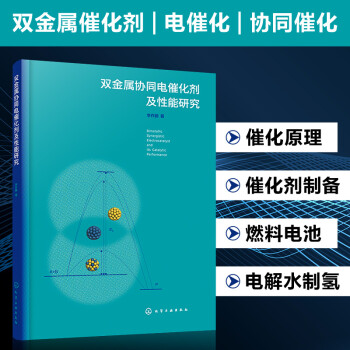 双金属协同电催化剂及性能研究 双金属协同催化 作用机理 催化剂制备与表征 甲醇氧化 析氧和氧还原 甲 txt格式下载