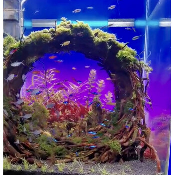 22新款鱼缸背景灯rgb鱼缸变色款ada效果现货鱼缸背景板灯快速定制300 300rgb App控制 图片价格品牌报价 京东 22新款鱼缸背景灯rgb鱼缸变色款ada效果现货鱼缸背景板灯快速定制300 300rgb App控制 图片价格品牌报价 京东