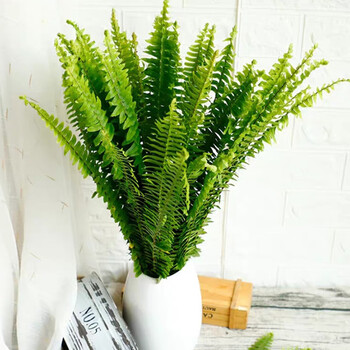 3 高商品评价:评分详细关注店铺婉静农资专营店>禧味全>绿植盆栽>花卉