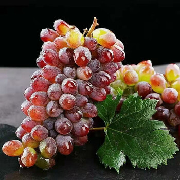 郁金香葡萄新鲜水果茉莉香葡萄小葡萄无籽提1斤尝鲜