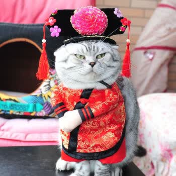 抖音同款 搞笑宠物直立变身装 猫咪衣服 狗贵宾 英短 蓝猫服饰 秋装薄