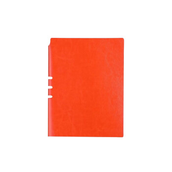 伊頓 伊顿变色pu插笔款商务笔记本记事本可定制 橙色 A5
