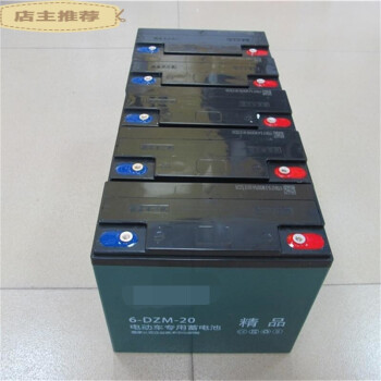 6-dzm-20電池12v24v36v48v60v72v20ah電動三輪車電瓶定製 12v32a 18.