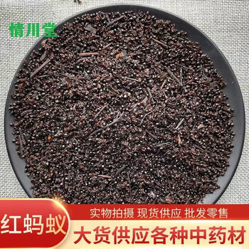 北京同仁品质红蚂蚁中药材东北长白山红蚂蚁中药材泡酒克克精选 精品