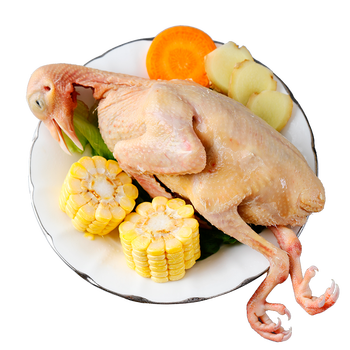 【农家散养】鸽子肉新鲜现杀乳鸽子土鸽子汤三年老鸽子肉生鲜 一年大