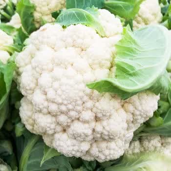 新鲜花菜现摘菜花散花菜农家青梗松花菜花椰菜白花菜现摘5斤 精选 购买 当季新鲜 产地直发 图片价格品牌报价 京东