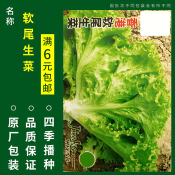 四季小香葱种韭菜大全小白菜生菜菠菜萝卜香菜籽孑 软尾生菜约1000粒