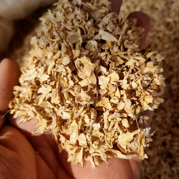 姜皮中药材生姜皮干姜皮晒干姜皮老姜衣 500克【图