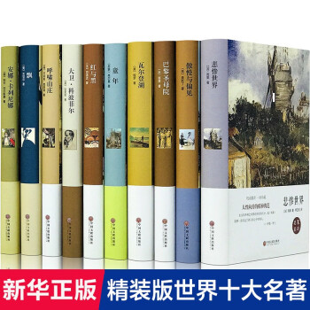 世界十大名著套装正版全10册外国文学小说系列巴黎圣母院飘童年红与黑