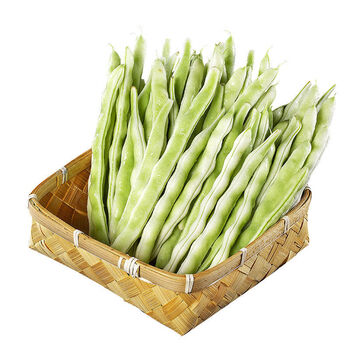 【买2斤送2斤】新鲜山东芸豆蔬菜九粒白四季豆鲜老来少白不老芸豆 买