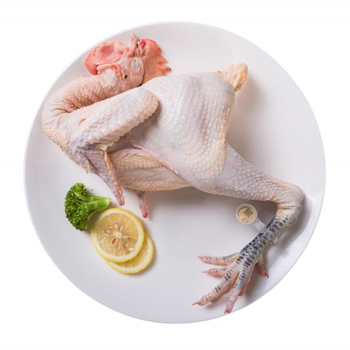 湘佳土黑公鸡如需剁块请备注约1416kg