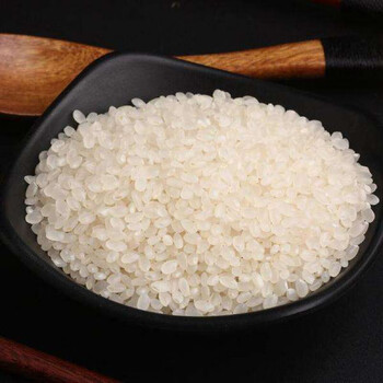 2021东北吉林永吉小粒香稻花香小町长粒香农家10斤米小粒香