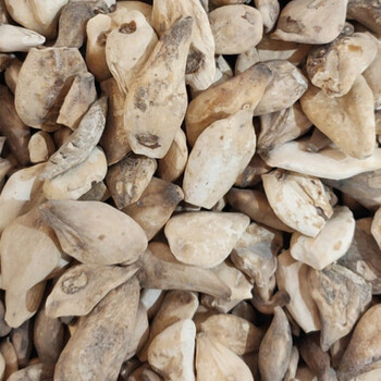 中药材秋水仙 秋水仙秋水仙秋水仙 250克【图片 价