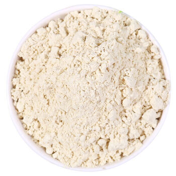 伟博天然原色 菊苣根粉 玉兰根 菊苣根茶苦苣根打粉 500克 500克