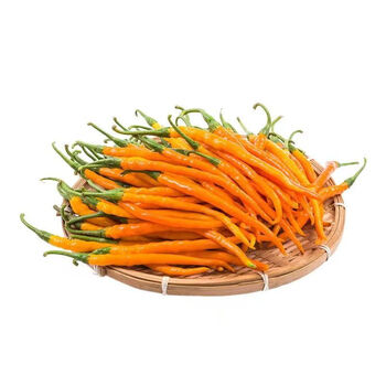 格沃斯(gewosi)新鲜现摘黄皮贡椒辣椒线椒小米辣脆嫩香甜 5斤精品黄贡