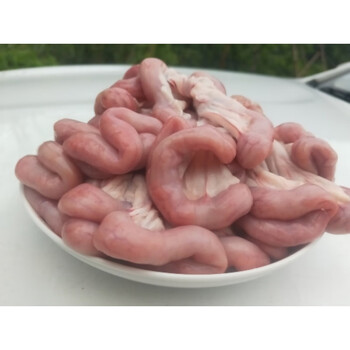 贵州锦屏生粉肠本地猪粉肠 猪小肠 猪顺肠 新鲜肾肠生猪现杀肾肠 1斤