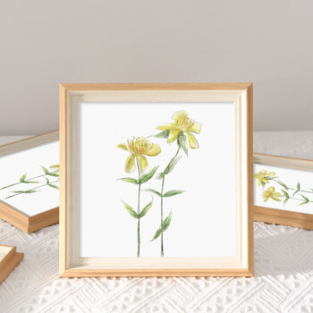 维佳简约清新欧式正方形相框摆台挂墙创意复古画框装裱框相片册7寸68