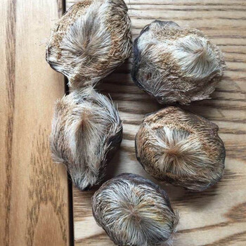 麝香药材西藏麝香医用钓鱼麝香高含量养殖麝香1g麝香粉仁价值 有整囊