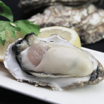 生蚝鲜活牡蛎带壳大海蛎子特大新鲜海鲜贝类水产当天现挖