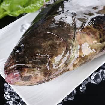 九河灌海旗舰店石斑鱼片中段湛江新鲜野生深海石斑鱼生鲜真空锁鲜码头