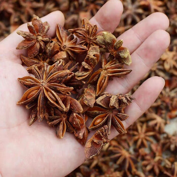 桂皮香叶八角组合香料调料大全配方散装批发五香肉桂干货 八角250克