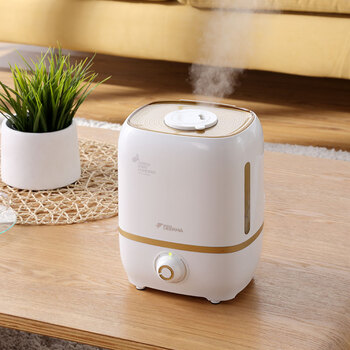 德尔玛(deerma)加湿器 4l大容量空调家用香薰增湿办公室卧室空气加湿