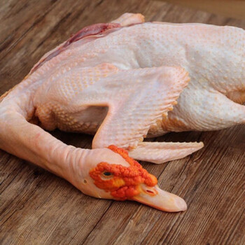 非洲雁 农家散养新鲜现杀炖汤滋补冷链  腾旺纳跃 1-2年公鸭开膛净重