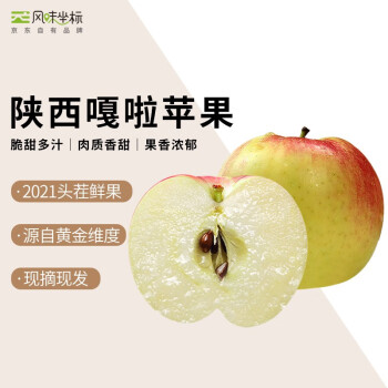 风味坐标 应季 新苹果 陕西嘎啦苹果 3斤 单果65mm+  新鲜水果 时令