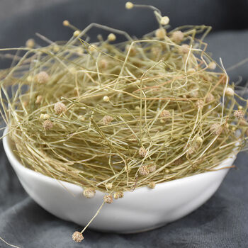 谷精草中药材 珍珠草 谷精珠 谷精新货 250克