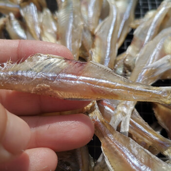 海燕鱼干海南淡干水晶鱼干海鲜干货 500克