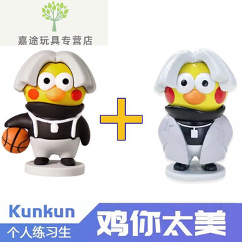 菲利捷鸡你太美 kun小黑子坤坤鸡博士坤玩偶公仔摆件 裸装款篮球坤 鸡