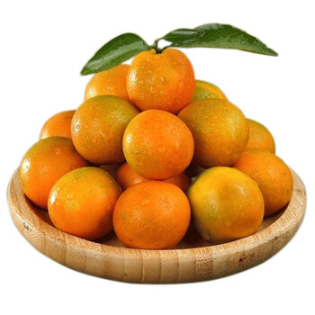 青尊园广西融安脆蜜金桔 纯甜新鲜脆皮金桔 滑皮金橘 多汁金柑桔子