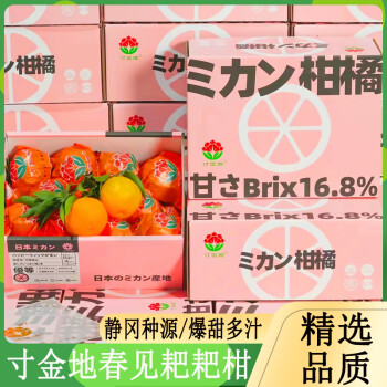 寸金地春见耙耙柑礼盒装日本静冈品种新鲜应当季水果眉山柑橘整箱寸金