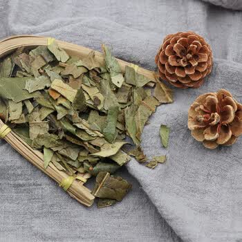 炙枇杷叶250g克干货批把叶泡水杷叶 芦桔叶琵琶叶天然中药材 炙枇杷叶